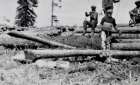 Men working with logs