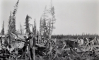 Cart full of wood used in the missions