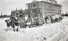 Man in the winter leading a cow and sled 