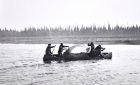 Cree men pull in a small beluga or seal