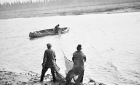 Cree men setting a fish net