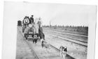Railway car being pulled by sled dogs