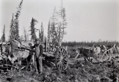 Cart full of wood used in the missions